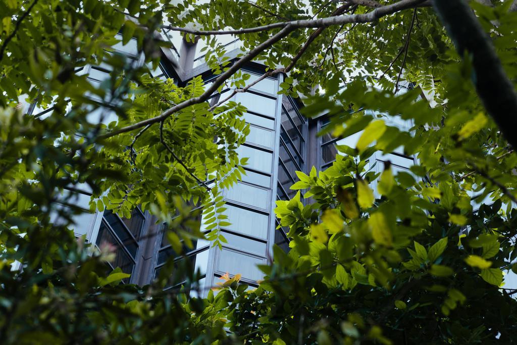 Primacy Apart Hotel Mar del Plata Exteriér fotografie